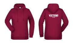 Dámská mikina IVSA Brno - Harvard