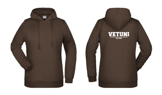 Dámská mikina IVSA Brno - Harvard - Velikost: S, Umístění: Přední strana, Barva: Brown