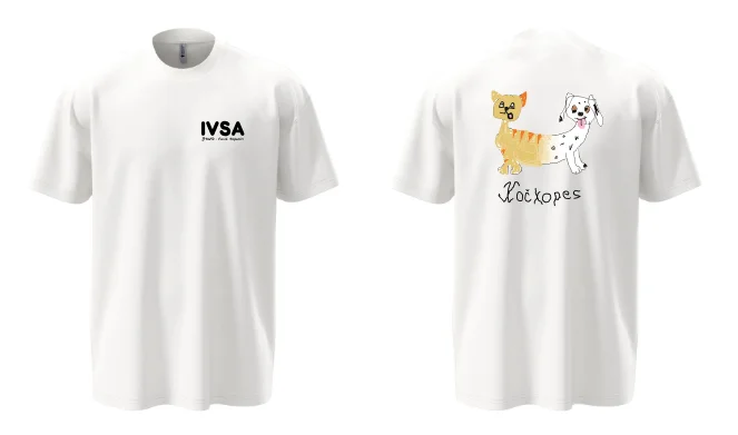 Unisex OVERSIZE tričko IVSA Brno - IVSA Brno - Velikost: M, Barva: Grey heather