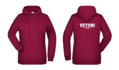 Dámská mikina IVSA Brno - Harvard