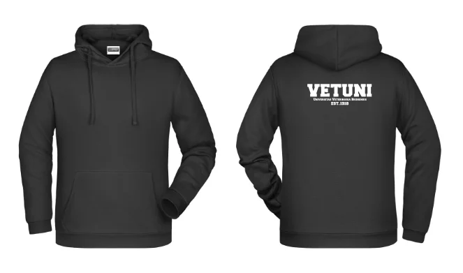 Pánská mikina IVSA Brno - Harvard