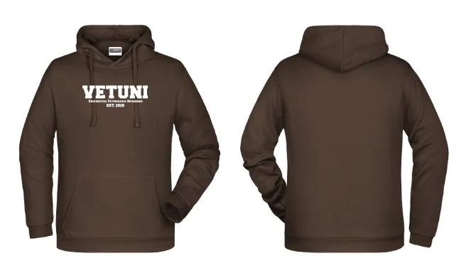 Pánská mikina IVSA Brno - Harvard