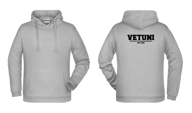 Pánská mikina IVSA Brno - Harvard