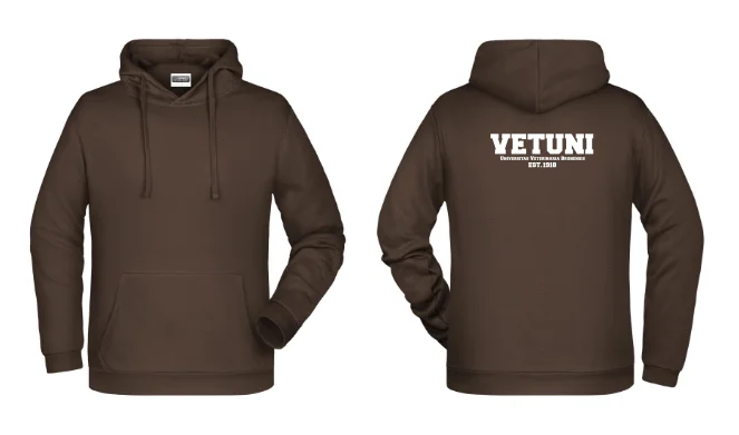 Pánská mikina IVSA Brno - Harvard