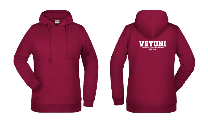 Dámská mikina IVSA Brno - Harvard - Velikost: S, Umístění: Přední strana, Barva: Brown