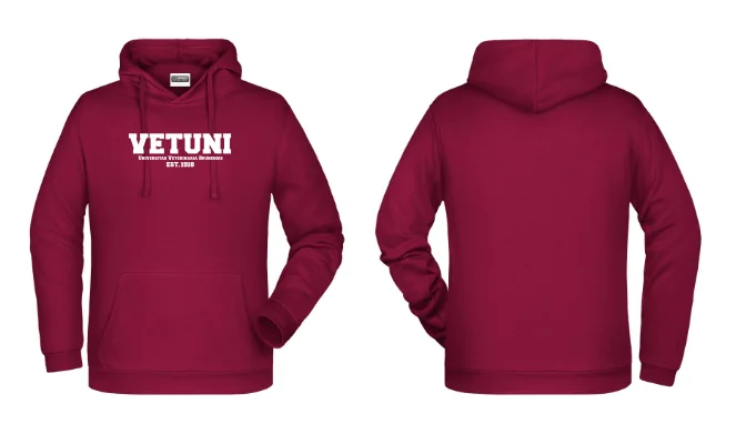 Pánská mikina IVSA Brno - Harvard