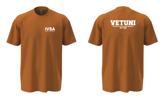 Unisex OVERSIZE tričko IVSA Brno - IVSA Brno - Velikost: M, Barva: Grey heather