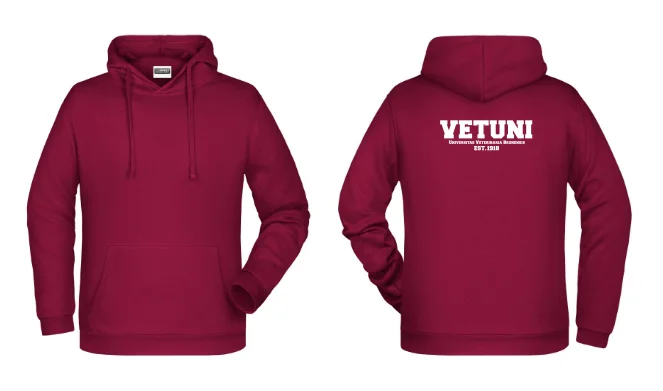 Pánská mikina IVSA Brno - Harvard